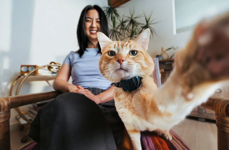 The Fi Mini: The Tiny Pet Tracker That’s Changing the Way You Care for Your Furry Friends